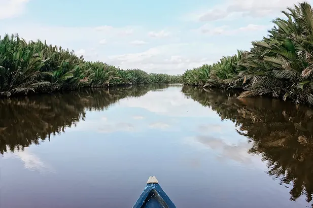 River safari through the Borneo rainforest