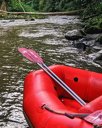 Friends white-water rafting